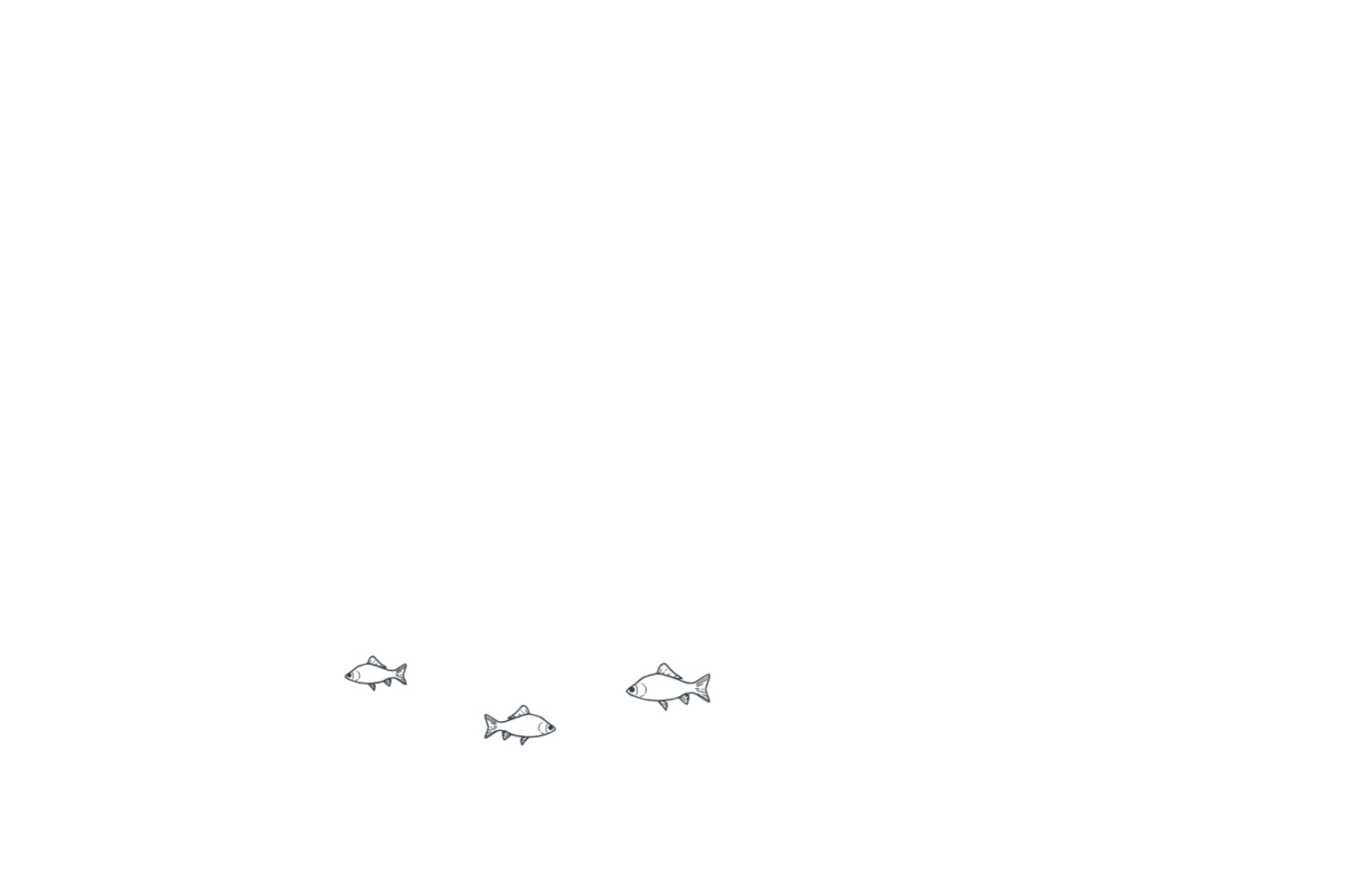 fishes