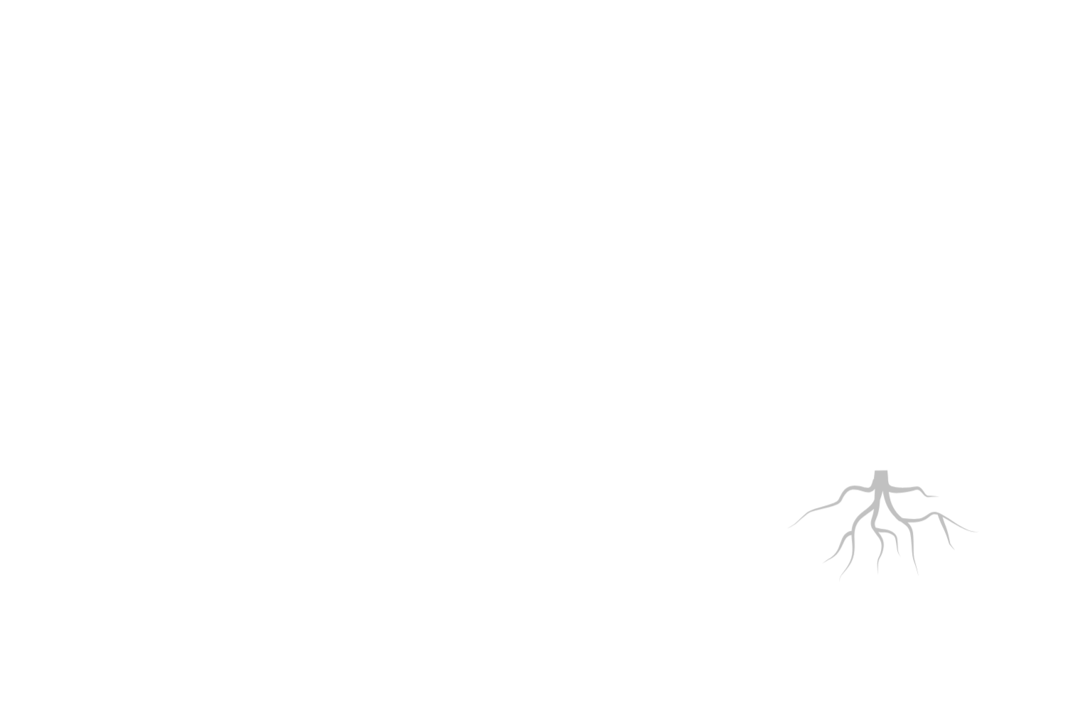 roots
